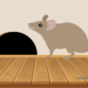 How to prevent rodent damage in your Lubbock, TX home